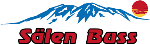 Sälen Buss